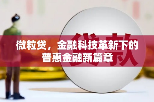 柳营微粒贷，金融科技革新下的普惠金融新篇章