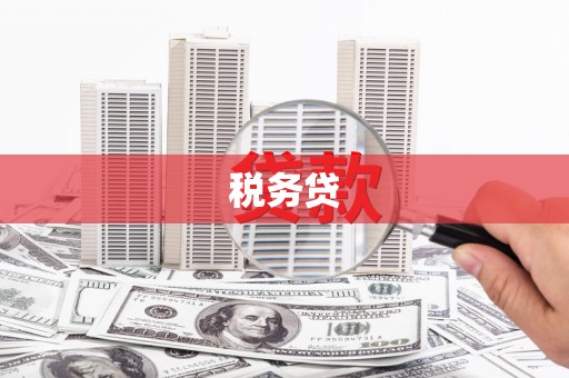 柳营税务贷