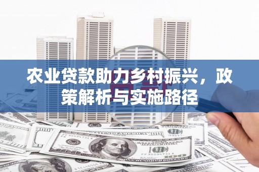 柳营农业贷款助力乡村振兴，政策解析与实施路径