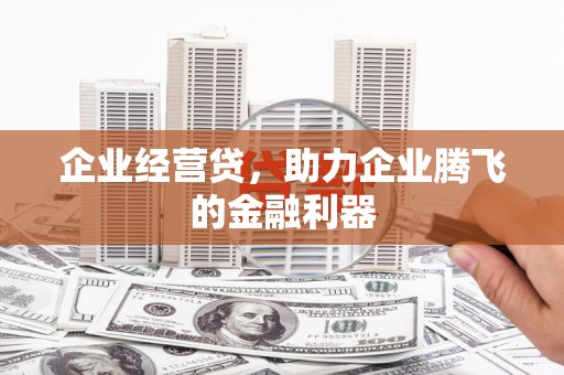 柳营企业经营贷，助力企业腾飞的金融利器
