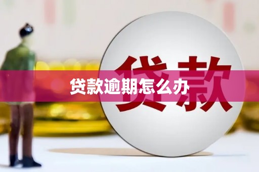 柳营贷款逾期怎么办