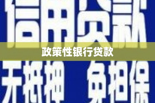 柳营政策性银行贷款
