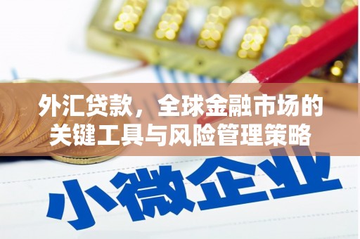 柳营外汇贷款，全球金融市场的关键工具与风险管理策略