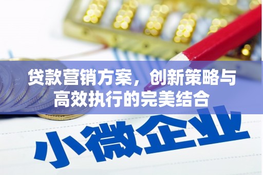 柳营贷款营销方案，创新策略与高效执行的完美结合