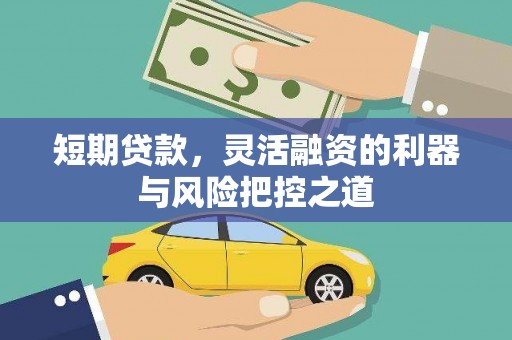 柳营短期贷款，灵活融资的利器与风险把控之道