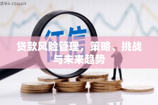 柳营贷款风险管理，策略、挑战与未来趋势