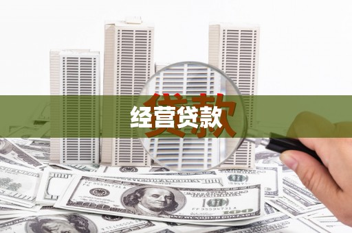 柳营经营贷款
