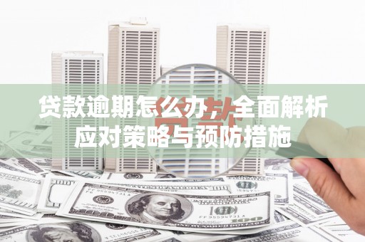 柳营贷款逾期怎么办，全面解析应对策略与预防措施