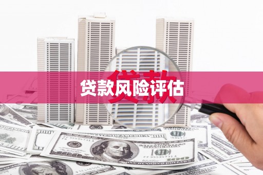 柳营贷款风险评估