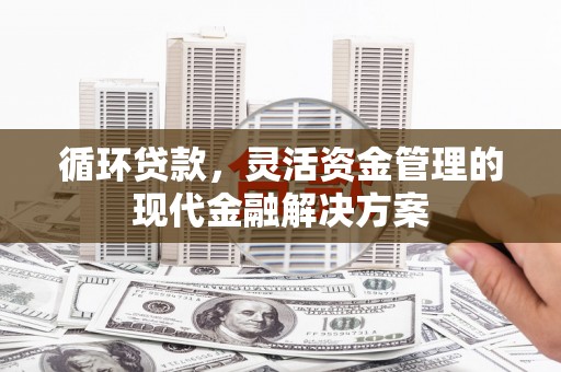柳营循环贷款，灵活资金管理的现代金融解决方案