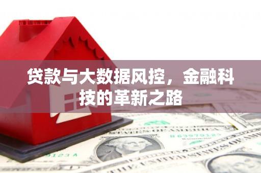 柳营贷款与大数据风控，金融科技的革新之路