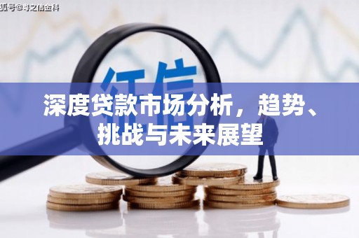 柳营深度贷款市场分析，趋势、挑战与未来展望