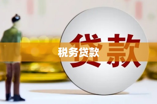 柳营税务贷款