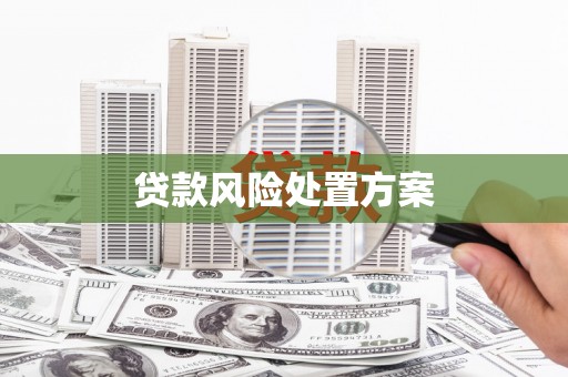 柳营贷款风险处置方案