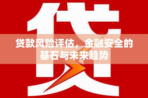 柳营贷款风险评估，金融安全的基石与未来趋势