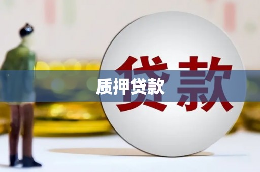 柳营质押贷款