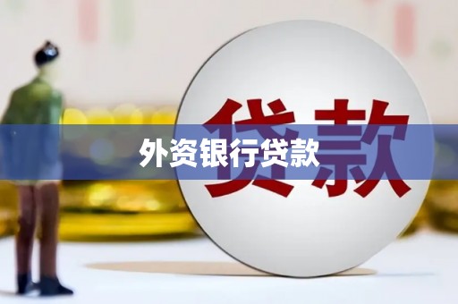 柳营外资银行贷款