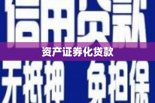 柳营资产证券化贷款
