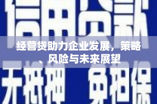 柳营经营贷助力企业发展，策略、风险与未来展望