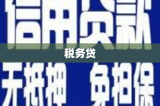 柳营税务贷