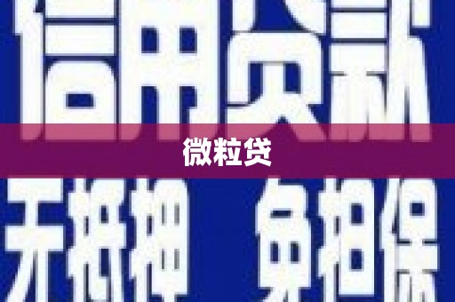 柳营微粒贷