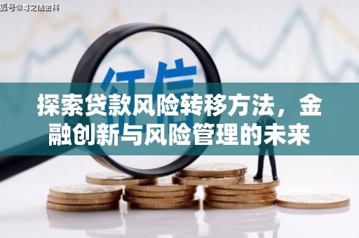 柳营探索贷款风险转移方法，金融创新与风险管理的未来