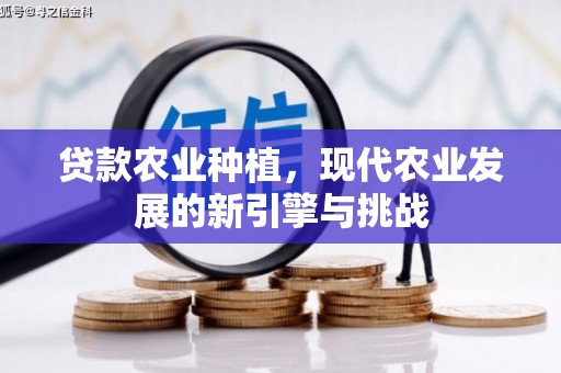 柳营贷款农业种植，现代农业发展的新引擎与挑战