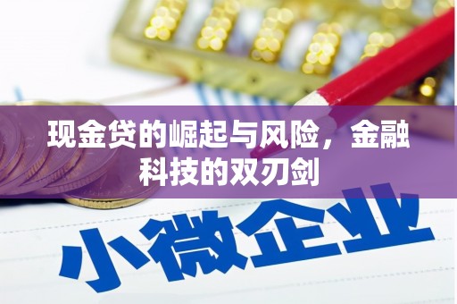 柳营现金贷的崛起与风险，金融科技的双刃剑
