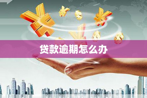 柳营贷款逾期怎么办