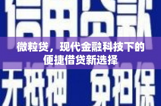 柳营微粒贷，现代金融科技下的便捷借贷新选择