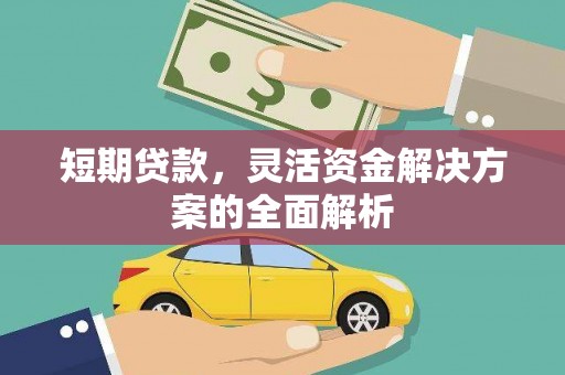 柳营短期贷款，灵活资金解决方案的全面解析