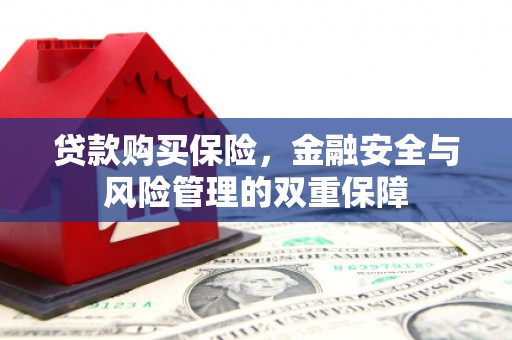 柳营贷款购买保险，金融安全与风险管理的双重保障