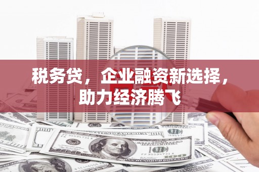 柳营税务贷，企业融资新选择，助力经济腾飞