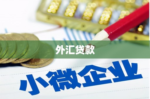 柳营外汇贷款