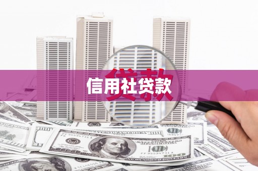 柳营信用社贷款
