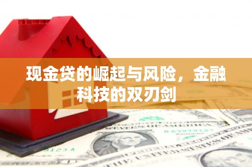 柳营现金贷的崛起与风险，金融科技的双刃剑