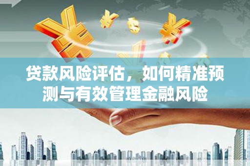 柳营贷款风险评估，如何精准预测与有效管理金融风险