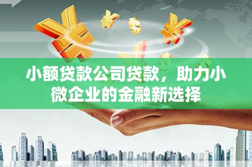 柳营小额贷款公司贷款，助力小微企业的金融新选择
