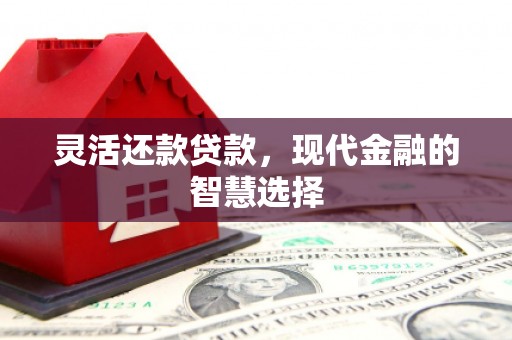 柳营灵活还款贷款，现代金融的智慧选择