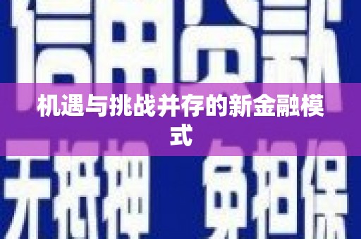 柳营机遇与挑战并存的新金融模式