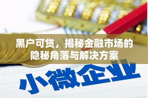 柳营黑户可贷，揭秘金融市场的隐秘角落与解决方案