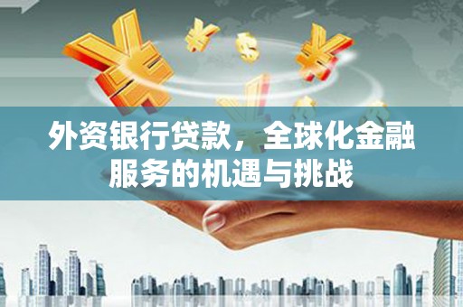 柳营外资银行贷款，全球化金融服务的机遇与挑战