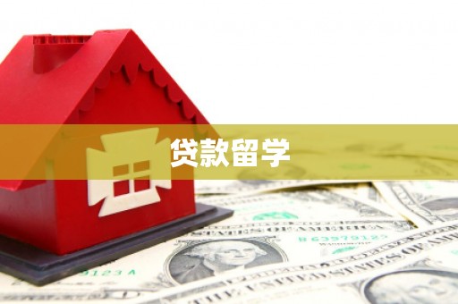 柳营贷款留学