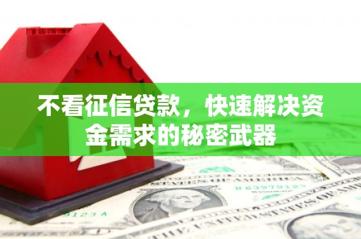 柳营不看征信贷款，快速解决资金需求的秘密武器