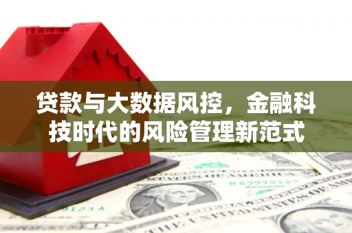 柳营贷款与大数据风控，金融科技时代的风险管理新范式