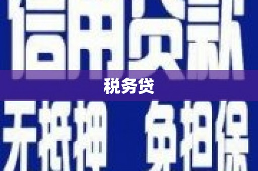 柳营税务贷
