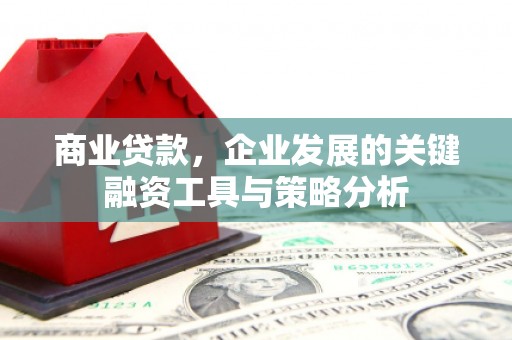 柳营商业贷款，企业发展的关键融资工具与策略分析