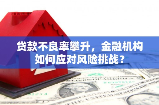 柳营贷款不良率攀升，金融机构如何应对风险挑战？