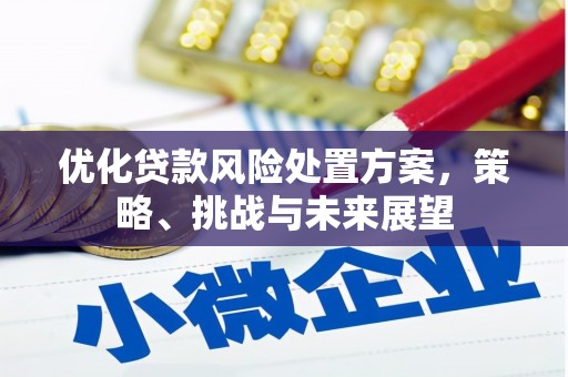 柳营优化贷款风险处置方案，策略、挑战与未来展望