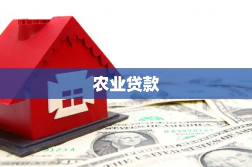 柳营农业贷款
